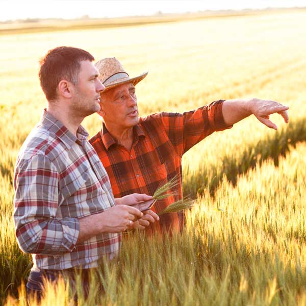 Asesoramiento agricola Campo Jalón